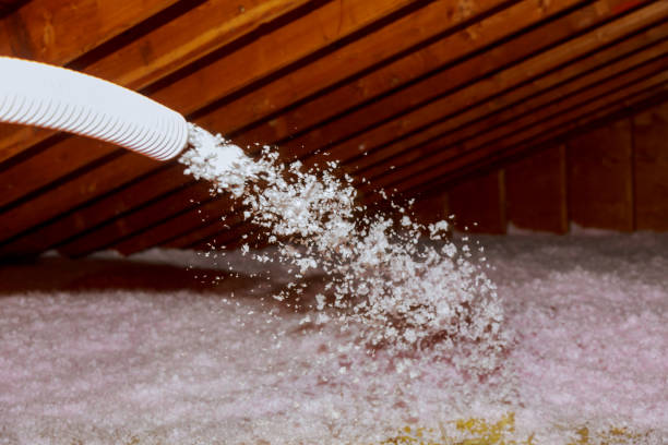 Best Best Insulation Companies  in Douglass, KS