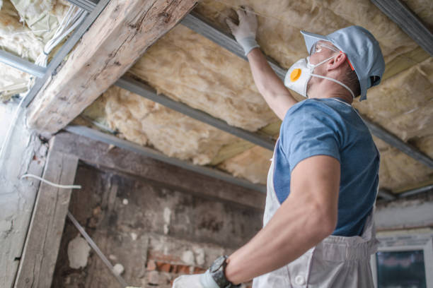 Best Blown-in Insulation  in Douglass, KS