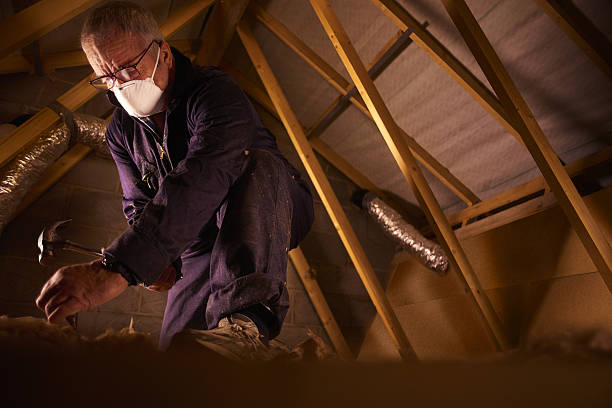 Best Insulation Contractors for Homes  in Douglass, KS